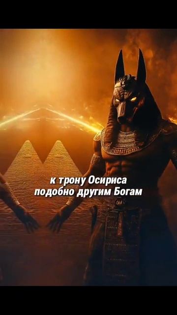 1000027519.mp4
