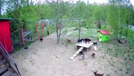 Девчонки тусуются развлекаются