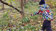 В деревне гуляю с бабушкой и собакой Соней 26-10-2025