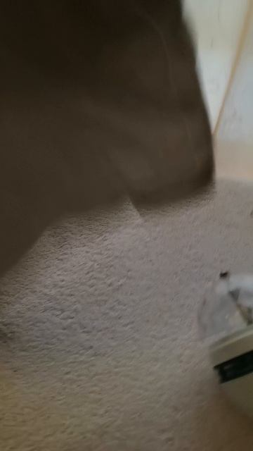 VID_20251027_085534.mp4