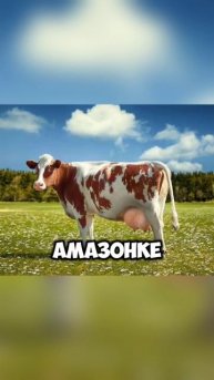 #фото #интересное