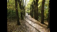 2007 09 30 Дендропарк