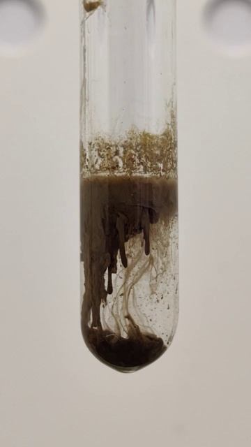 Ag2O: осадок растворяется в аммиаке