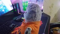 Басик за компьютером я говорю хватит за компьютером сидеть