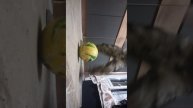 1000012808.mp4