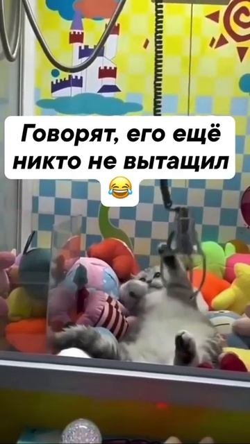 Самая дорогая игрушка😂