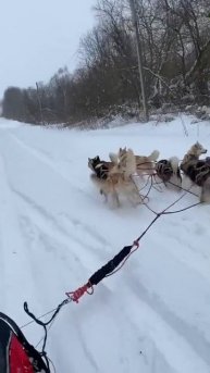 Нельзя, но очень хочется!