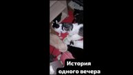 Кошки выбили стекло. И вечер превратился в ремонт. Что не делается- к лучшему.Работа на отлично!