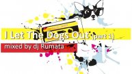 I Let The Dogs Out - part 1