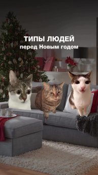 Узнали себя?🤔😻