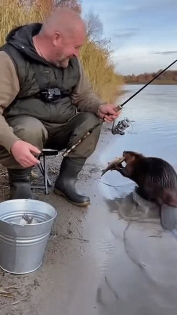 Угостился.mp4