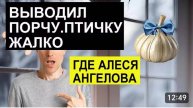 САМВЕЛ АДАМЯН, ОБЗОР ОТ СК, КАК АНДРЕЙ ПОРЧУ ЧЕСНОКОМ ВЫВОДИЛ, ГДЕ АЛЕСЯ АНГЕЛОВА..