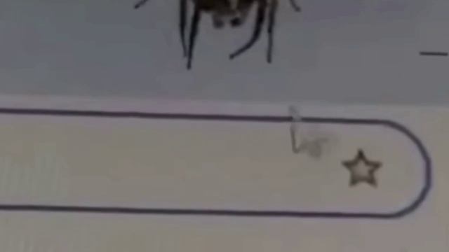 Паук против мышки🕷️💻😄