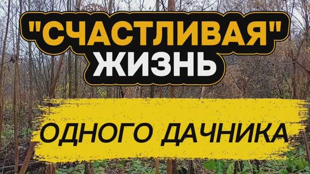 Заброшка на краю поля в зарослях 😲
