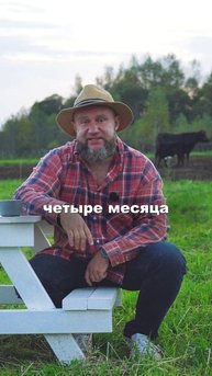 Российская говядина в 4 раза дороже чем в Аргентине, и вот почему… #говядина #сельскоехозяйство