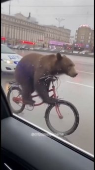 СМЕШНАЯ НЕЙРОСЕТЬ