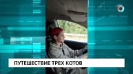 Новости от 27.10.2025