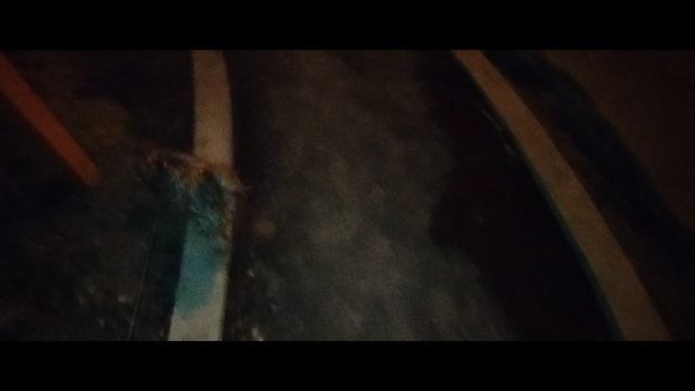 Мы идём гулять с собакой! | 11-авг-2024