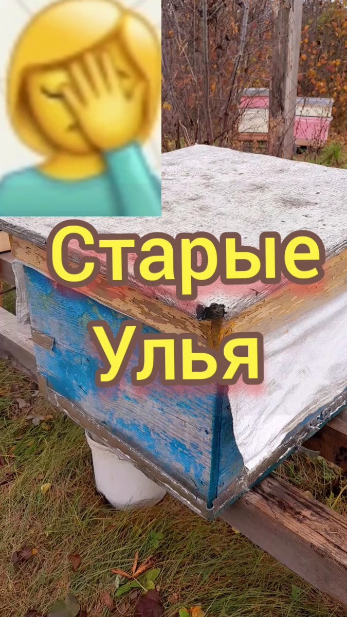 #пасека Старые улья