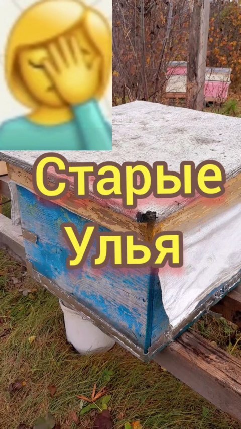#пасека Старые улья