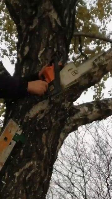 пилим #shorts #job #saw