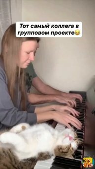 Клип @meowtaverse