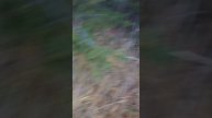 копаем землянку 1 день