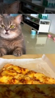 Дай мне маленький кусочек!
