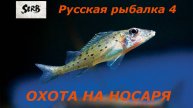 РУССКАЯ РЫБАЛКА 4 Охота на Ерша-Носаря #9