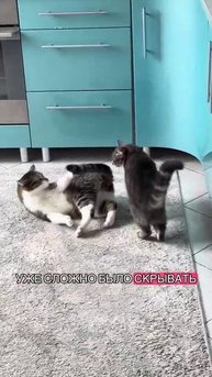 Подписывайтесь, будет интересно