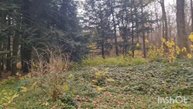 Поход к врачу закончился прогулкой в Ботаническом саду.