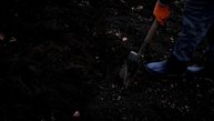 В Твери продолжаются сезонные работы по благоустройству