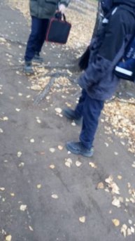 кроткоо томчопосходт нсв школе
