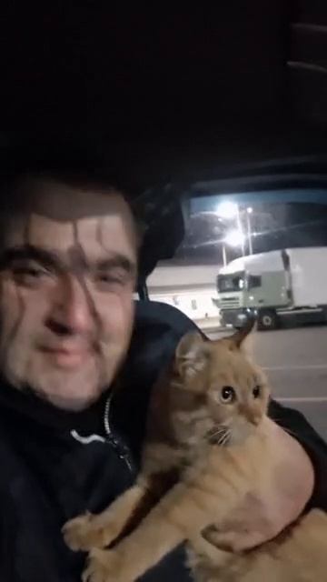 Дальнобойщик развёлся с женой из-за кота — пушистый сбежал, а мужик потерял из-за этого покой и сон
