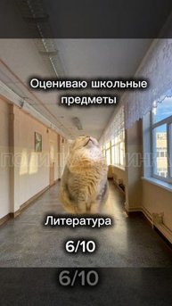 Оцениваю школьные предметы #Shorts