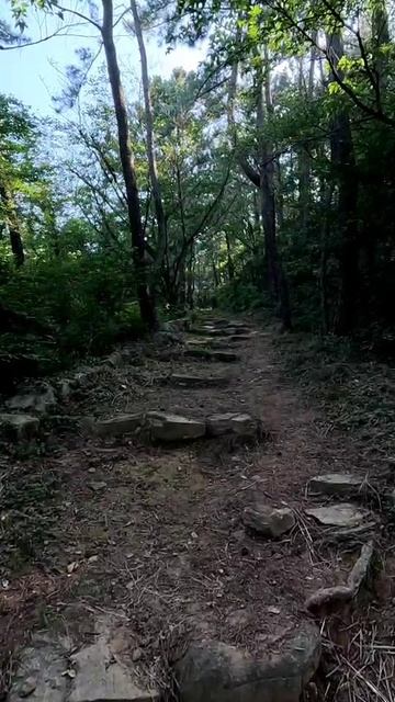 SkyWalk и храм Сокпульса город Пусан Южная Корея