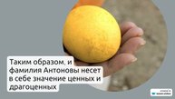 Фамилия Антоновы: обзор происхождения, истории и значения, а также правильного склонения