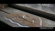 Что, если бы, человек услышал звуки растений?