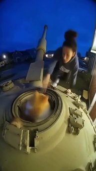 Котейки пытаются привлечь внимание самыми неожиданными способами 😂