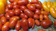 Уникальный итальянский томат Борге Челано, который совсем не гниет! Обзор сорта и дегустация.