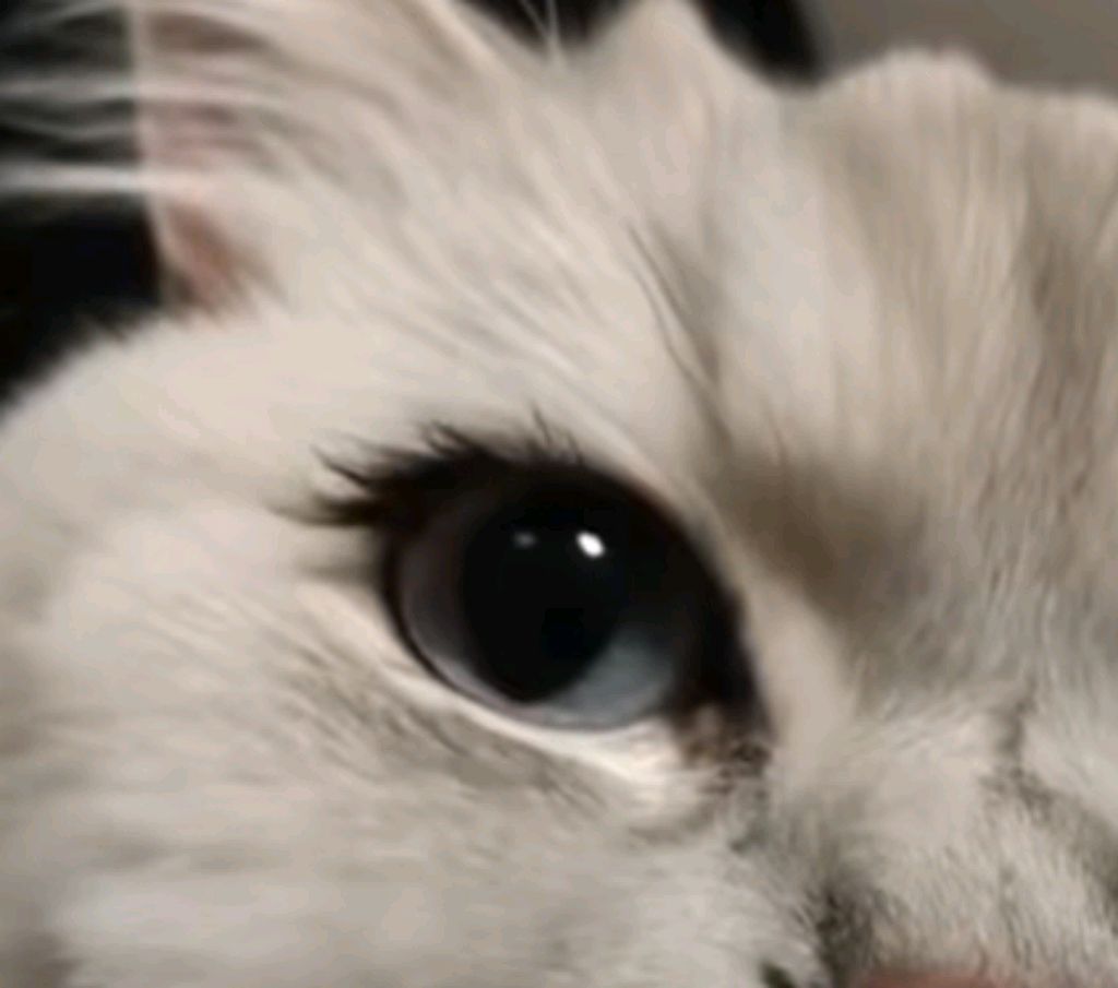 го поговорим