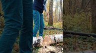 11.10.25 ПОРУБАС 2
