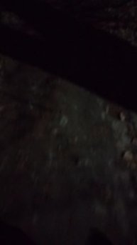 Не убирают тротуары в Грицовском 🔥