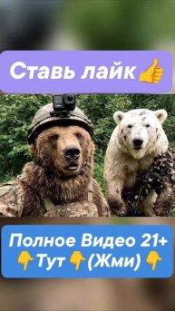 СВО👉ТЕЛЕГРАММ👈
