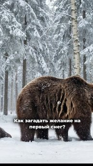 загадывание желания на первый снег