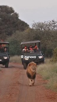 Сафари = счет с пятью 0?