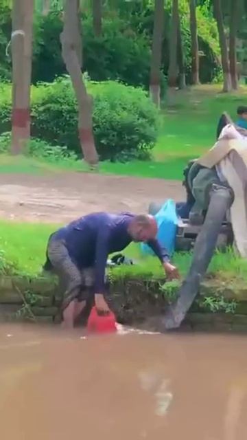 Больше грязи шире морда. 😊