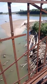 Царство змей