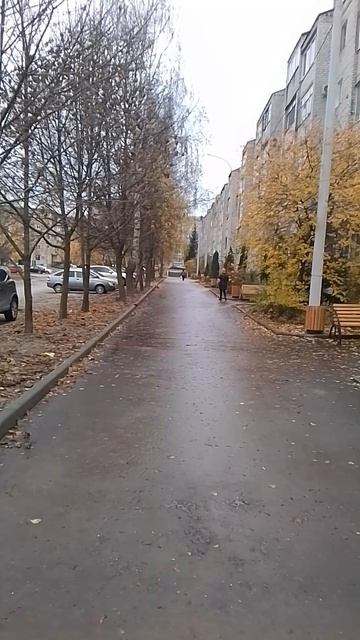 VID_20251027_125839.mp4