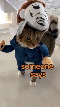 Cats Halloween 🎃